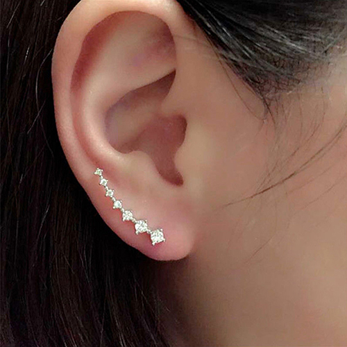 RB-1444 Earrings - Silver